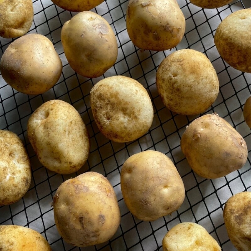 강원더몰,오후두시 구황작물 감자빵(10개입)